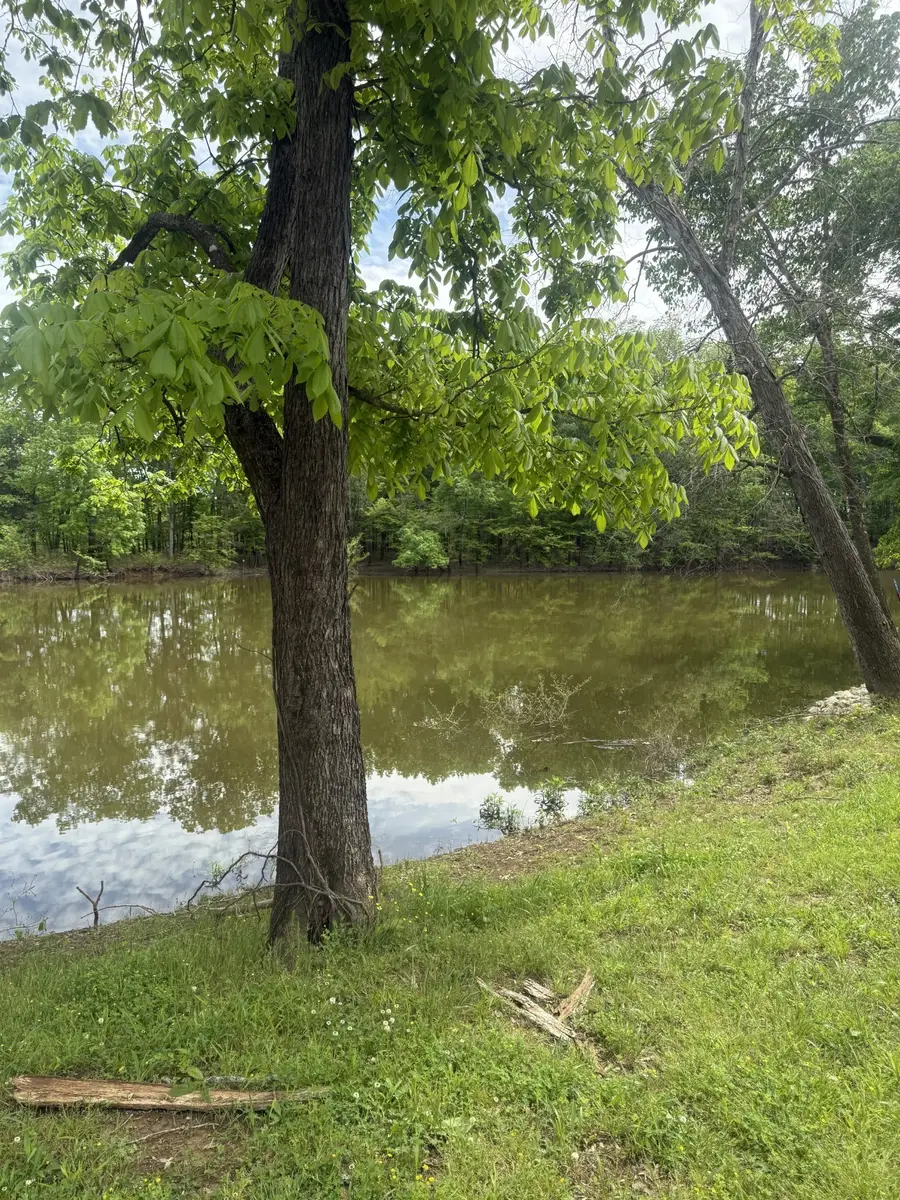 298 Duck Blind Rd, Clifton, TN 38425 - #2