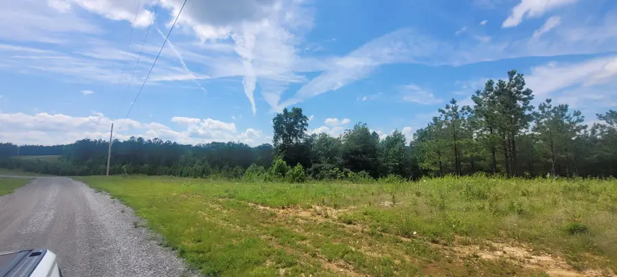 96 Evergreen Dr, Dover, TN 37058 - #3