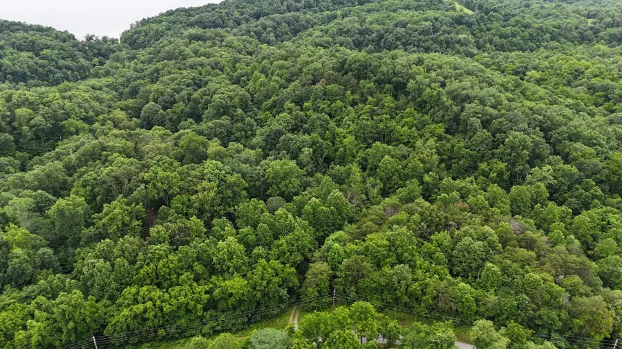 0 Fortunato Drive, Baneberry, TN 37890 - #2
