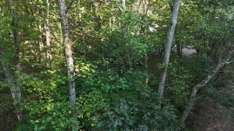 0 Lower River Road Nw, Georgetown, TN 37336