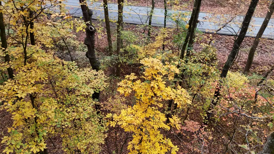 0 Lower River Road Nw, Georgetown, TN 37336 - #3