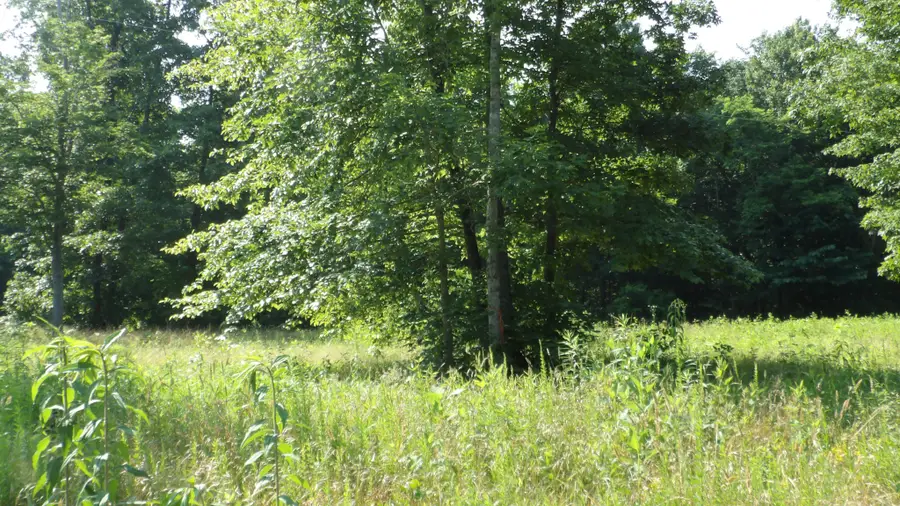 0 Pleasant Cemetery Lane, Gainesboro, TN 38562 - #2