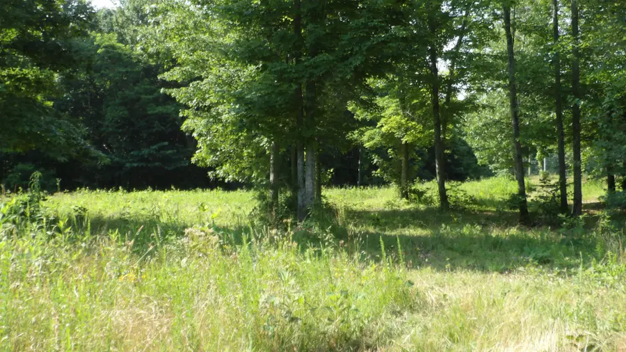 0 Pleasant Cemetery Lane, Gainesboro, TN 38562 - #3