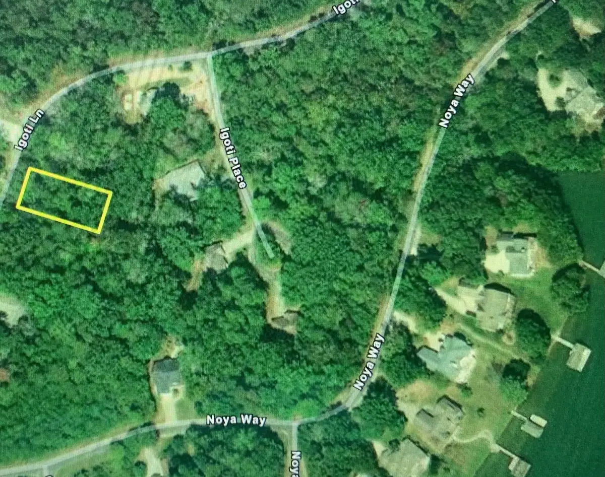 419 Igoti Ln, Loudon, TN 37774 - #1