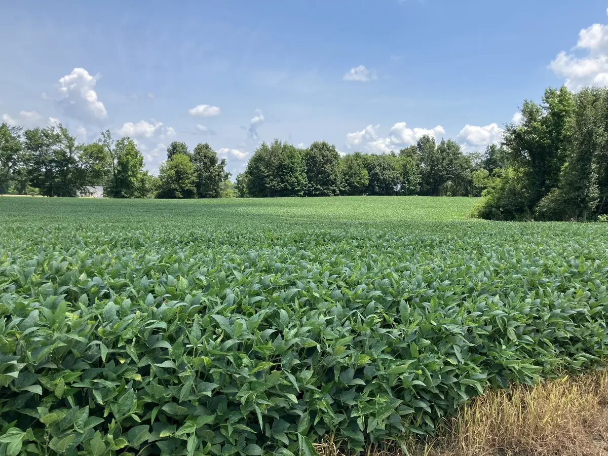 2690 Oak Grove Rd, Savannah, TN 38372 - #1