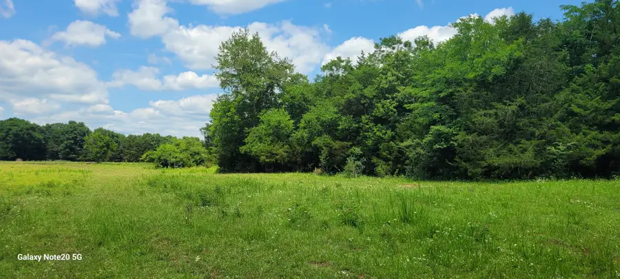 1 Clem Creek Rd, Chapel Hill, TN 37034 - #2