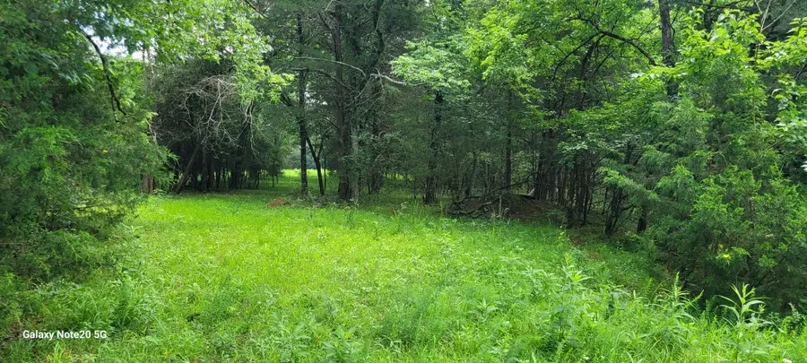 1 Clem Creek Rd, Chapel Hill, TN 37034 - #3