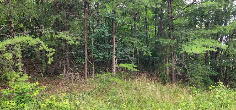 0 Sequatchie Mountain Rd, Sequatchie, TN 37374 - #2