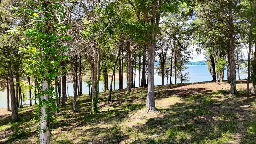 123 Ridge Point Trl, Dandridge, TN 37725 - #2