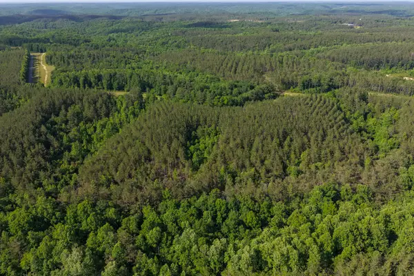 0 Darbytown Rd, Hohenwald, TN 38462