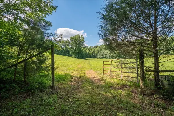 1630 Johnson Branch Rd, Pulaski, TN 38478