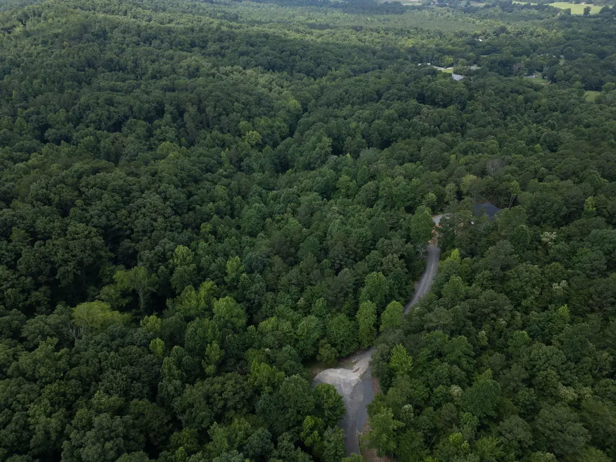 0 Dogwood Hollow, Old Fort, TN 37362 - #1