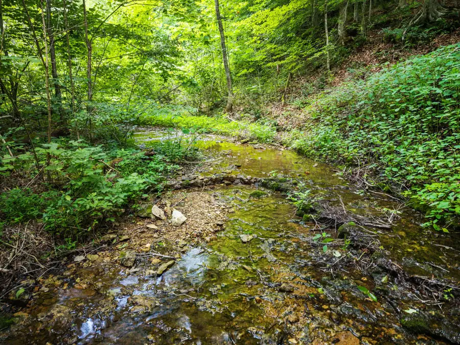 68 Clure Brown Rd, Westmoreland, TN 37186 - #3