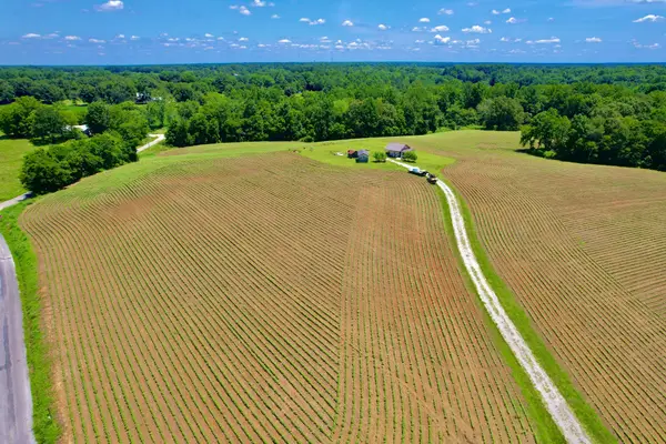 8 Lambs Ferry Rd, Leoma, TN 38468