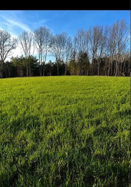 1261 Highway 48 S, Dickson, TN 37055