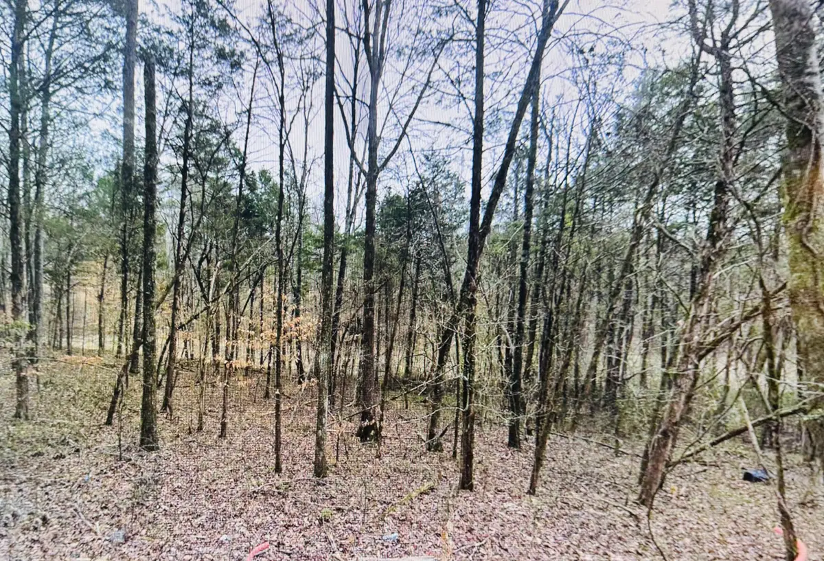 0 County Road 121, Athens, TN 37303 - #1