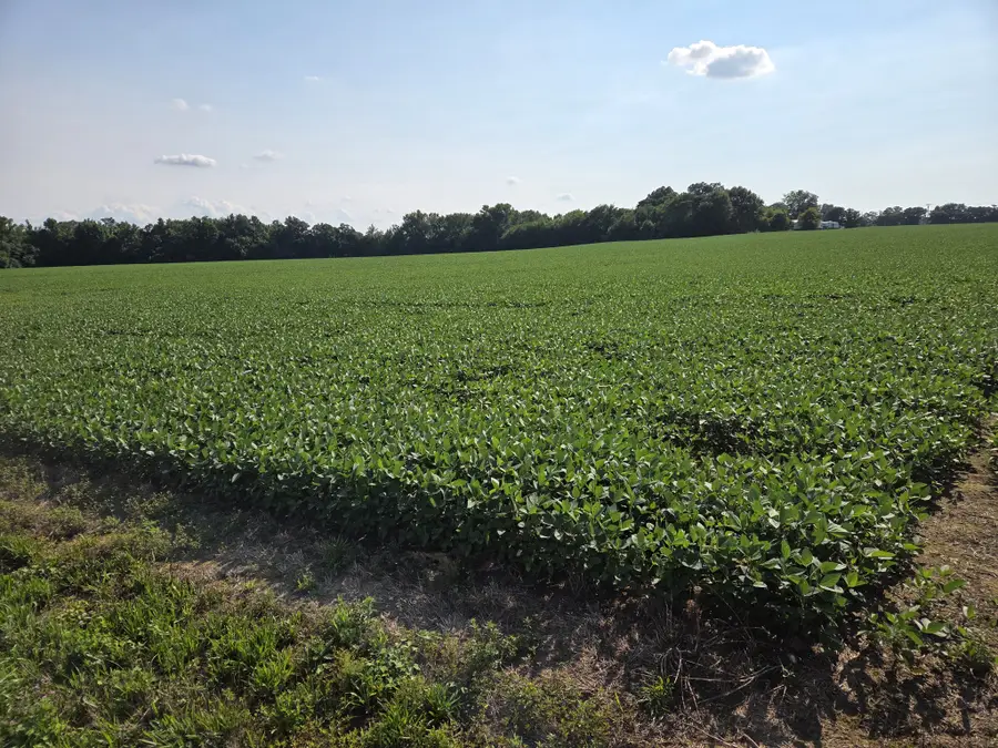 0 Power Station Rd, Taft, TN 38488 - #2