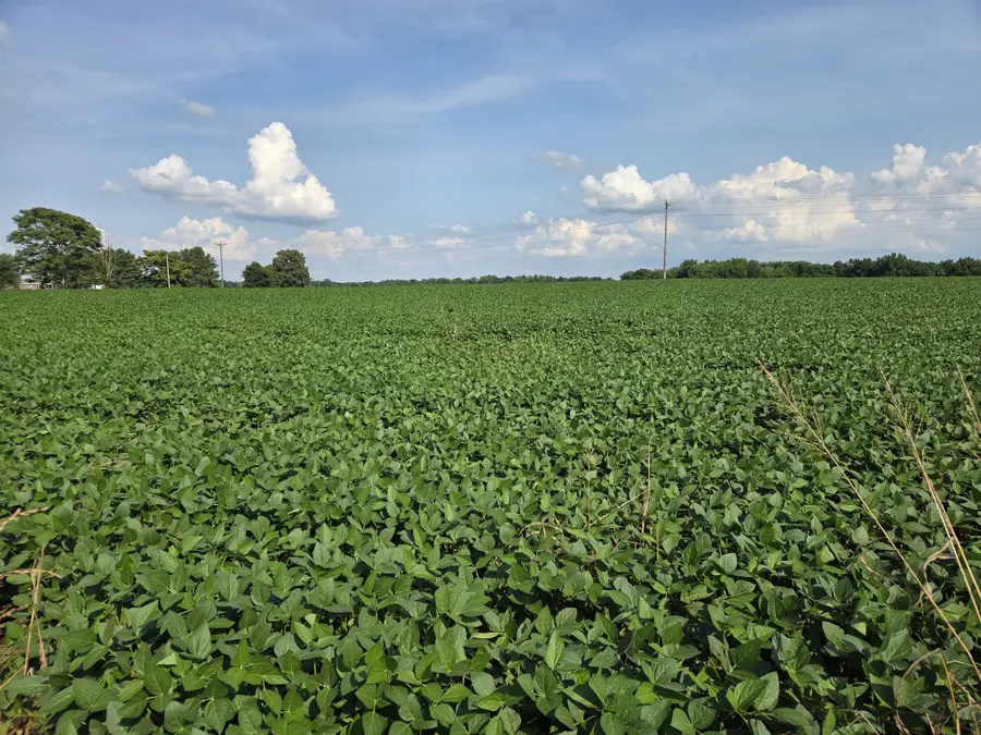 0 Power Station Rd, Taft, TN 38488 - #3