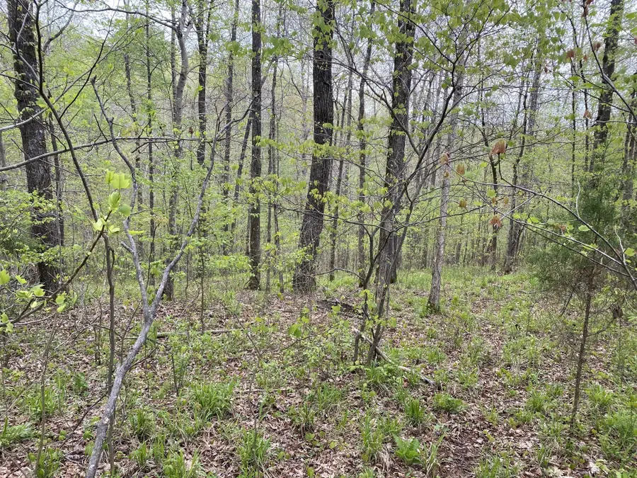 0 Eagle Loop, Loretto, TN 38469 - #3