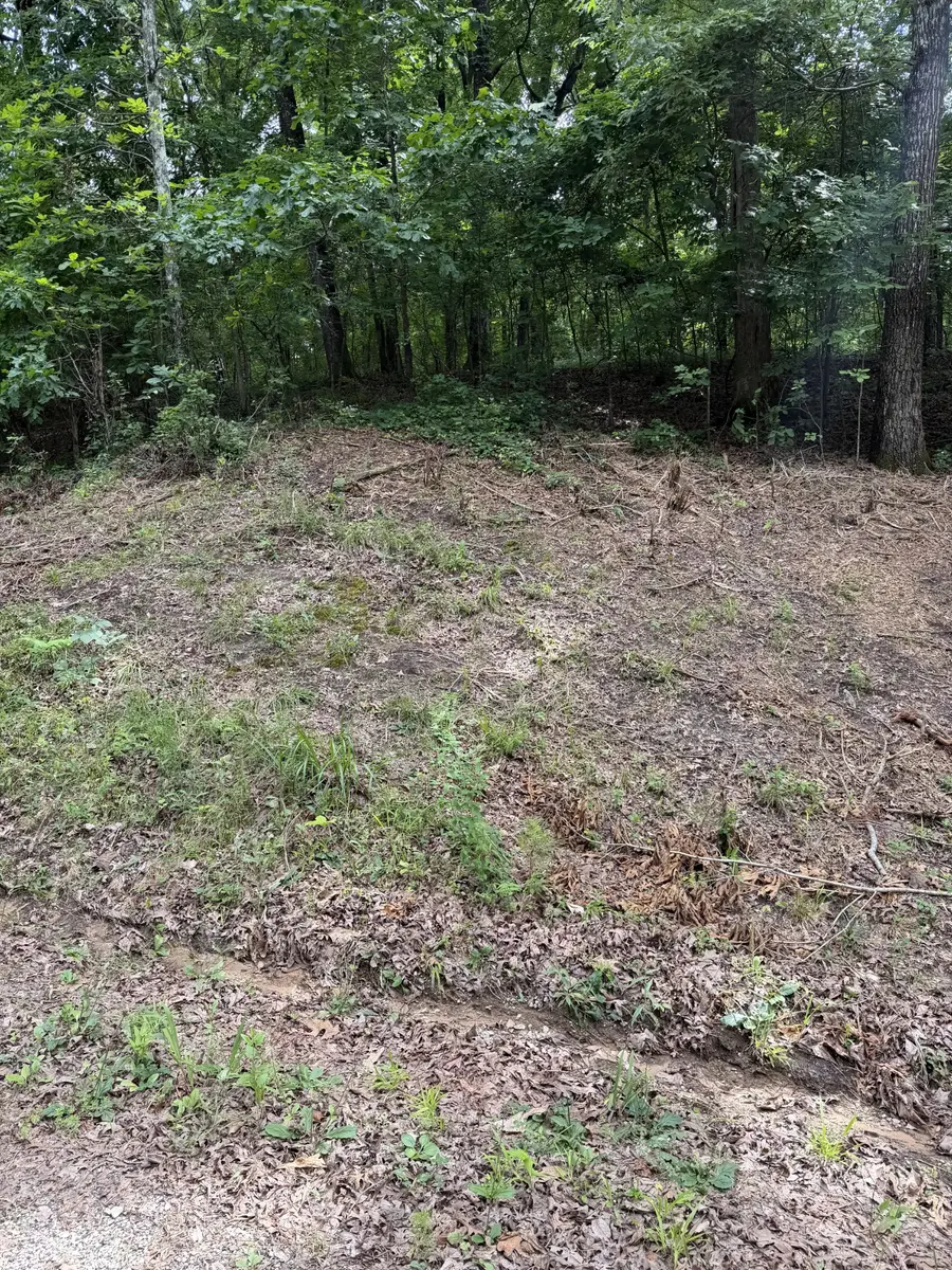 0 Highway 57, Middleton, TN 38052 - #3