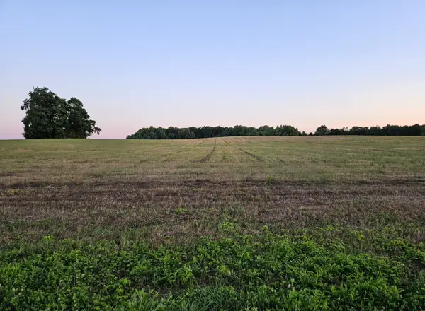 0 Blanton School Rd, Woodbury, TN 37190
