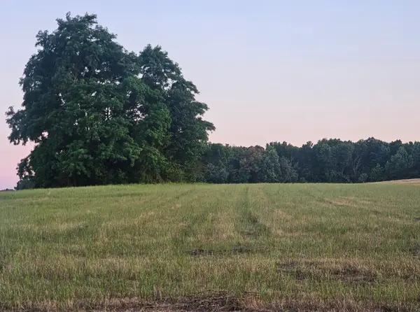 0 Blanton School Rd, Woodbury, TN 37190