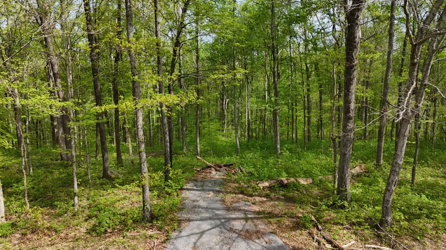 2 Greenbrier Rd, Franklin, TN 37064 - #3