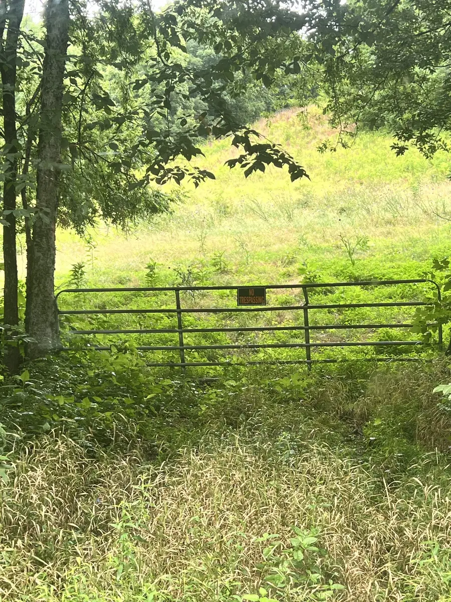 127 Mcburg Rd, Frankewing, TN 38459 - #2