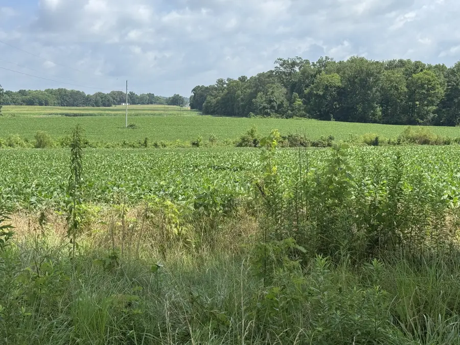 0 Zander Road, Hopkinsville, KY 42240 - #3