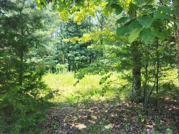 0 Pearly Anthony Rd, Maryville, TN 37803