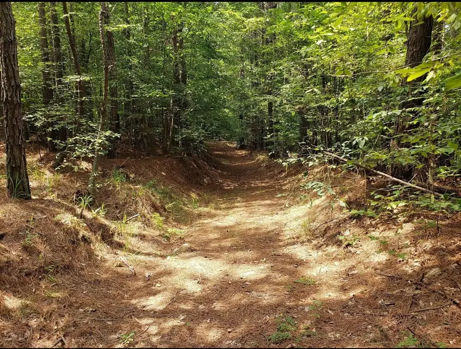 498 Gobbler Dr, Holladay, TN 38341 - #3