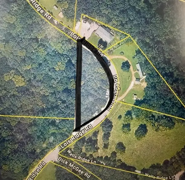 0 Lois Ridge, Lynchburg, TN 37352