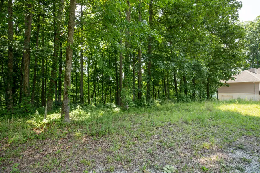 0 Stillhouse Branch Rd, Sparta, TN 38583 - #2