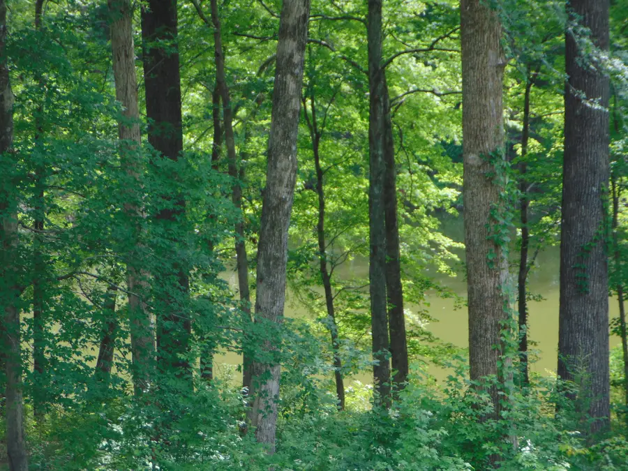 2997 Beech Creek Loop, Clifton, TN 38425 - #3