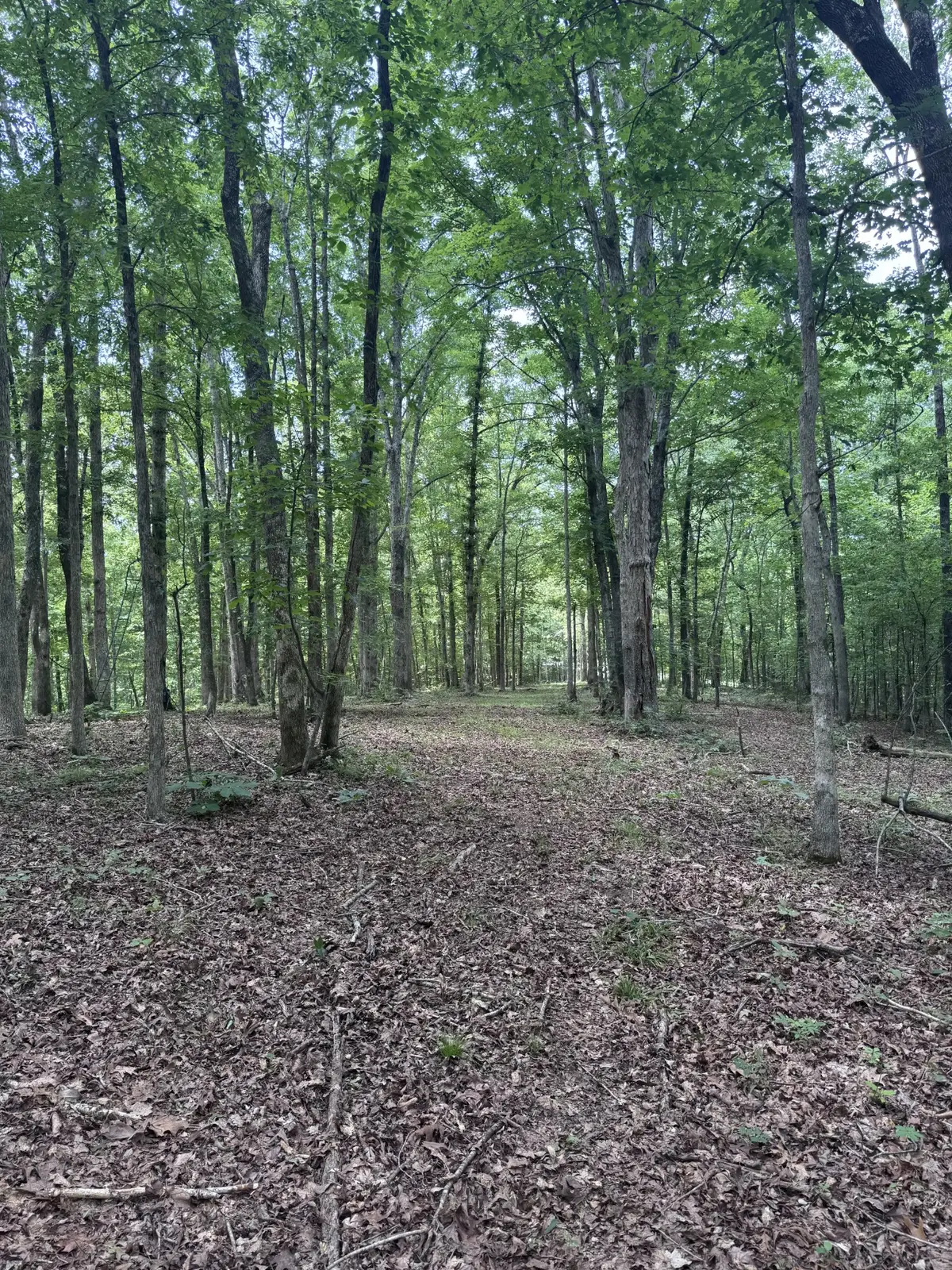 0 Jack Saunders Rd, Waverly, TN 37185 - #1