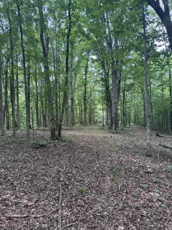 0 Jack Saunders Rd, Waverly, TN 37185