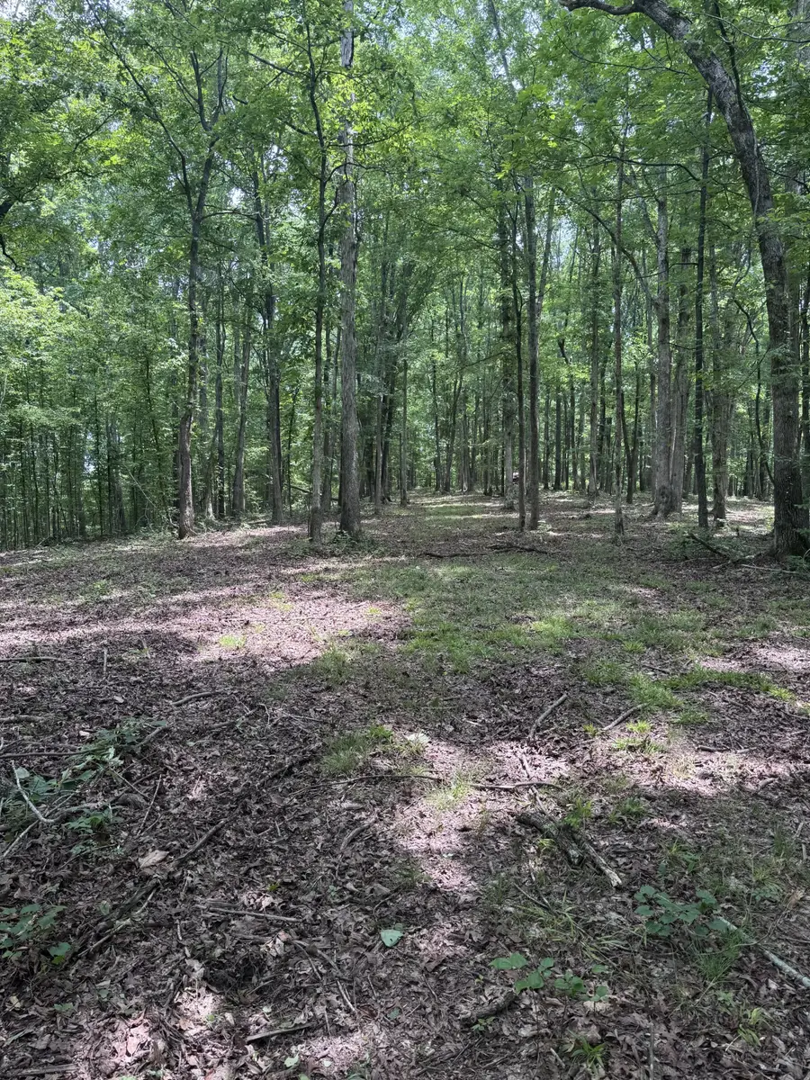 0 Jack Saunders Rd, Waverly, TN 37185 - #3