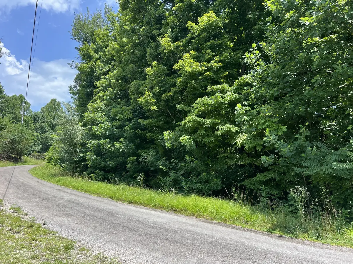 0 Lafever Ridge Rd, Silver Point, TN 38582 - #1