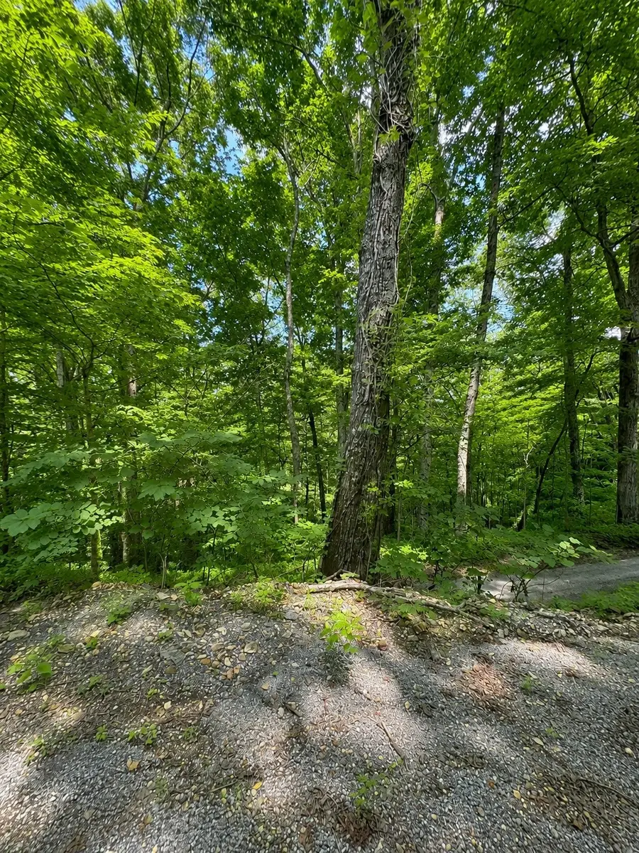 0 Lakeside Dr, Smithville, TN 37166 - #2