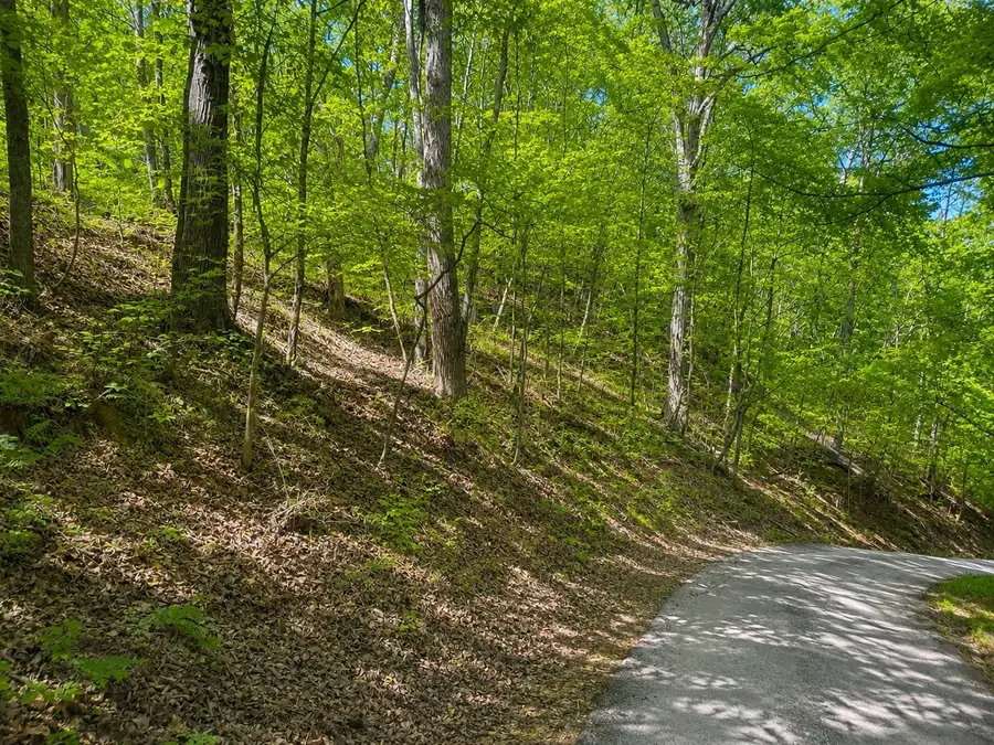 0 Lakeside Dr, Smithville, TN 37166 - #3
