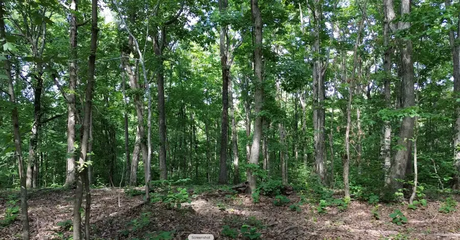 0 Owl Circle, Hurricane Mills, TN 37078 - #3