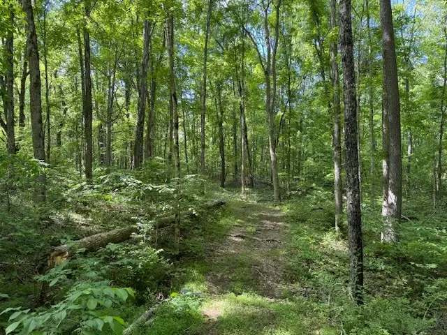 455 Moss Spring Hollow Road, Centerville, TN 37033 - #2