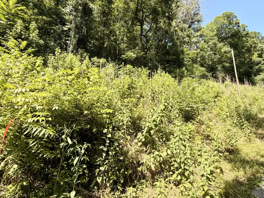 0 Silver Point Rd, Silver Point, TN 38582 - #2