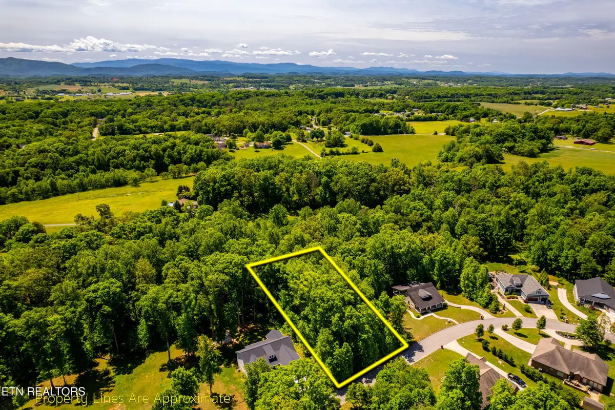 1055 Houston Springs Rd, Greenback, TN 37742 - #1
