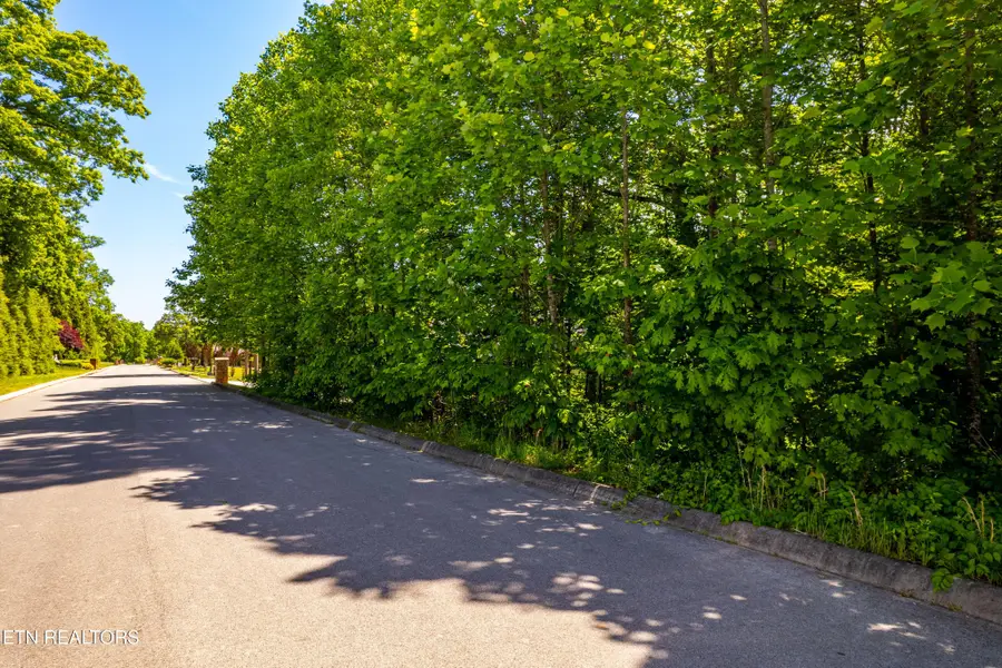 1055 Houston Springs Rd, Greenback, TN 37742 - #2