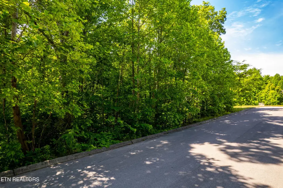 1055 Houston Springs Rd, Greenback, TN 37742 - #3