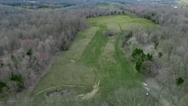 7880 Bill Moss Rd, White House, TN 37188 - #3