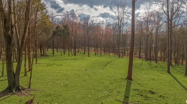 7888 Bill Moss Rd, White House, TN 37188 - #1