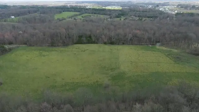 7876 Bill Moss Rd, White House, TN 37188 - #3