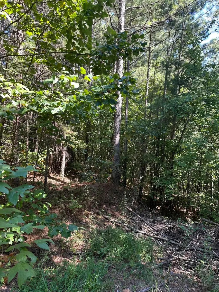 215 Rock Creek Drive, Old Fort, TN 37362 - #3